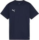 Teamgoal Jersey Jr