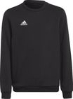 ENTRADA22 Sweat Top Youth