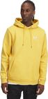 Icon Fleece Hoodie