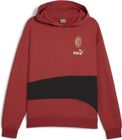 ACM Culture+ Hoodie