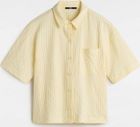 Bedford Knit Button Up