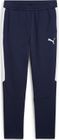 teamLIGA26 Training 34 Pants