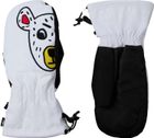W JCC Mittens R-shell DRY