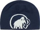 Logo Beanie