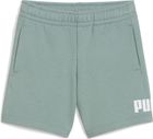 Essentials No. 1 Logo Shorts TR PS