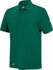 Polo Green