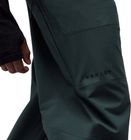 Baldface Pro Gore-tex Pant ​