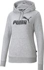 Essentials Logo Hoodie TR