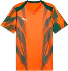 Teamfinal Graphic+ Jersey