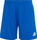 Entrada26 Shorts