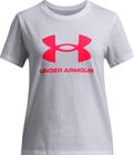 BIG Logo SS