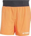 Terrex Xperior Shorts