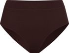 The Natural Merino 160 Sports Underwear Briefs