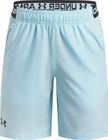 Vanish Shorts