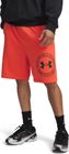 Rival LW Graphic Shorts