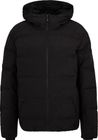 Tyers-z Jacket man