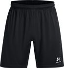 M's Ch. Knit Short
