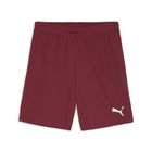 Teamgoal Shorts