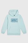 O'neill Logo Hoodie