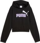 Essentials 2 Color No 1 Logo Hoodie FL B