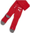 Team SFV Stacked Logo Socks Replica