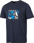 ION
