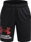 Tech Logo Shorts