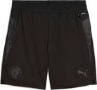 Fcsp Training Shorts w/ Pockets
