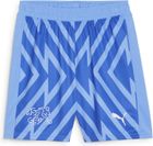 SFV GK Shorts Replica Jr