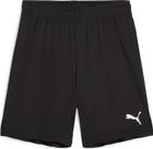 Teamgoal Shorts