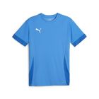 Teamgoal Matchday Jersey