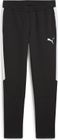 Teamevostripe Pants