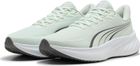 Pounce Lite 2