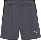 Individualliga Training Shorts 2 Jr (open Pockets)