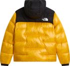 Womens Summit Nuptse Jacket