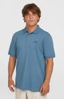 O'neill Small Logo Polo