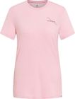 The Ascent Merino 160 Collective Voices Short-sleeve T-shirt