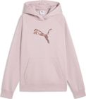 Essentials Sequins Standard Hoodie FL