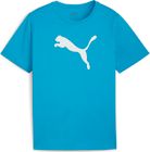 Teamgoal Training Sweat Jr