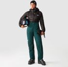 Womens Summit Stimson Futurelight Pant