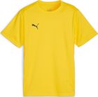 Teamgoal Jersey