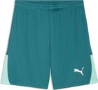 teamLIGA26 Shorts