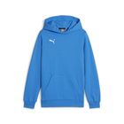 Teamgoal Casuals Hoody Jr