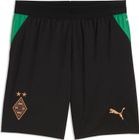 SFV Replica Match Jersey Concept GK Jr