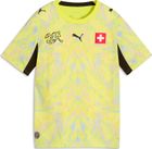 SFV Replica Match Jersey Jr GK