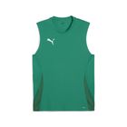 Teamgoal Sleeveless Jersey