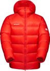 Taiss Pro IN Hooded Jacket Men