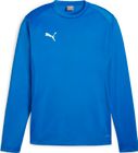 Teamgoal Training Pant
