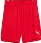 Teamjaws Starter Shorts