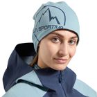 Circle Beanie